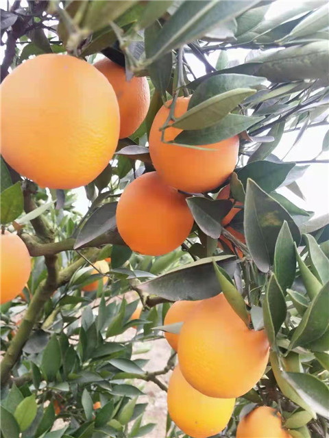 微信图片_20211204221255