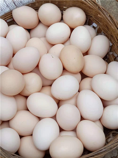 微信图片_20211204221404