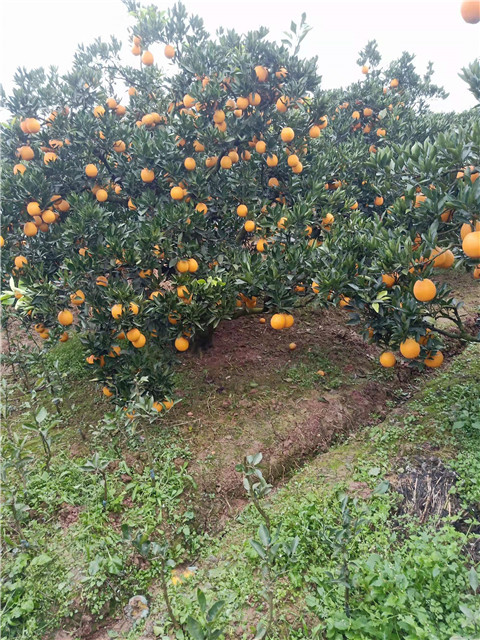 微信图片_20211204221343