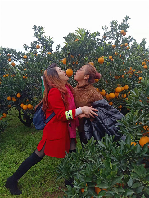 微信图片_20211204221350