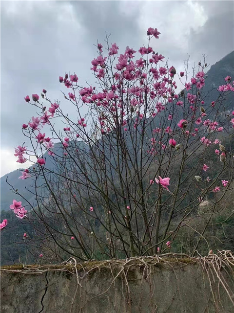 微信图片_20220312204626