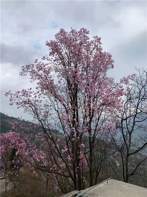 微信图片_20220312204616