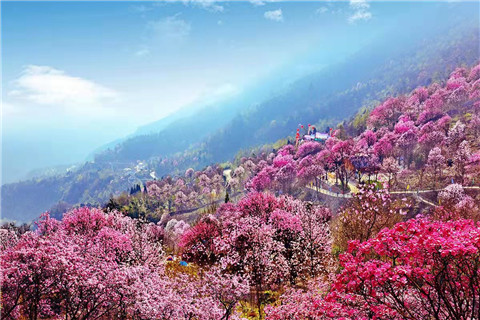 微信图片_20220312204709