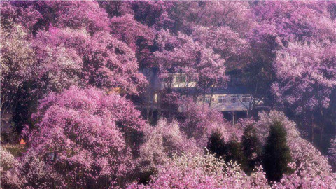 微信图片_20220312204744