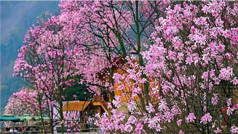 微信图片_20220312204634