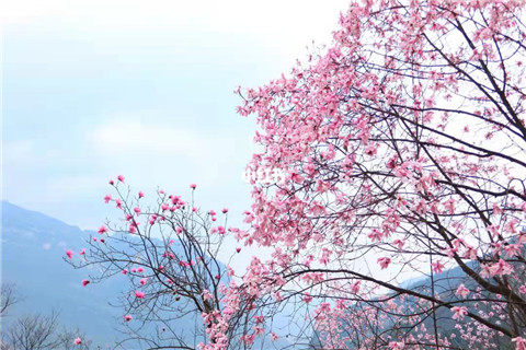 微信图片_20220312204801