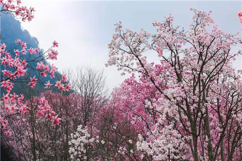 微信图片_20220312204732