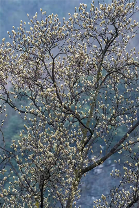 微信图片_20220312204611