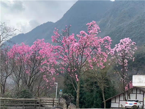 微信图片_20220312204630