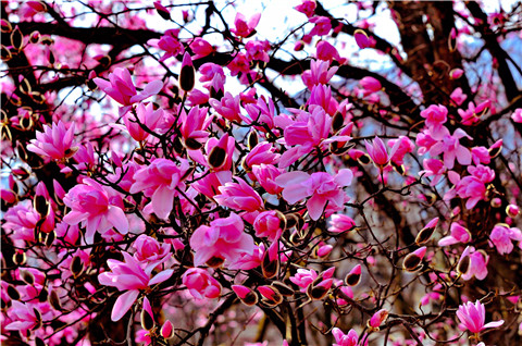 微信图片_20220312204701