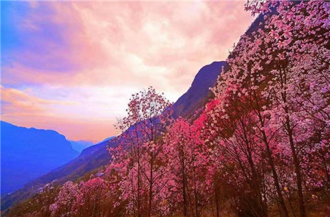 微信图片_20220312204646