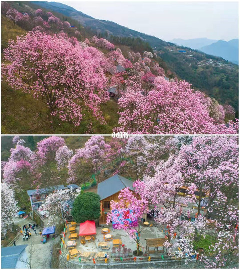 微信图片_20220312204752