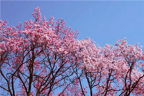 微信图片_20220312204642