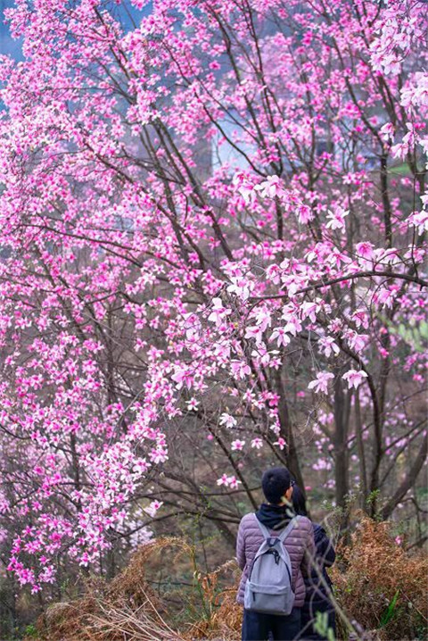 微信图片_20220312204740