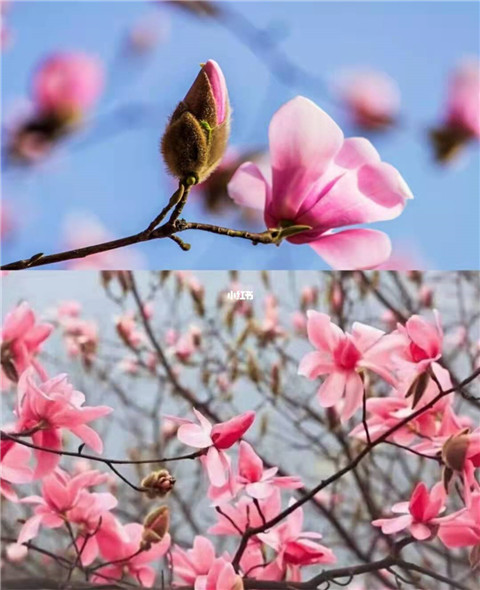 微信图片_20220312204748