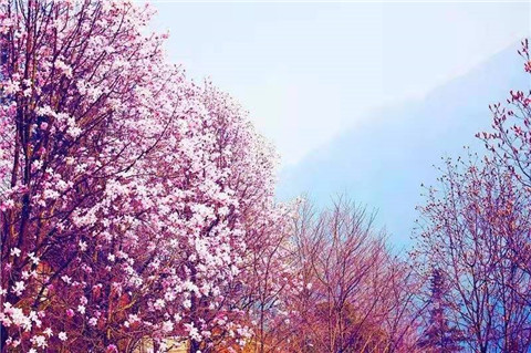 微信图片_20220312204651