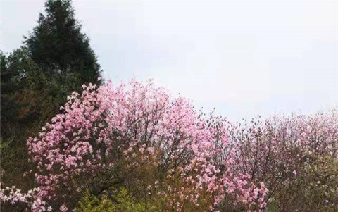 微信图片_20220312204719