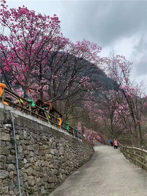 微信图片_20220312204619