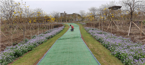 微信图片_20230323224828