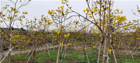 微信图片_20230323224820