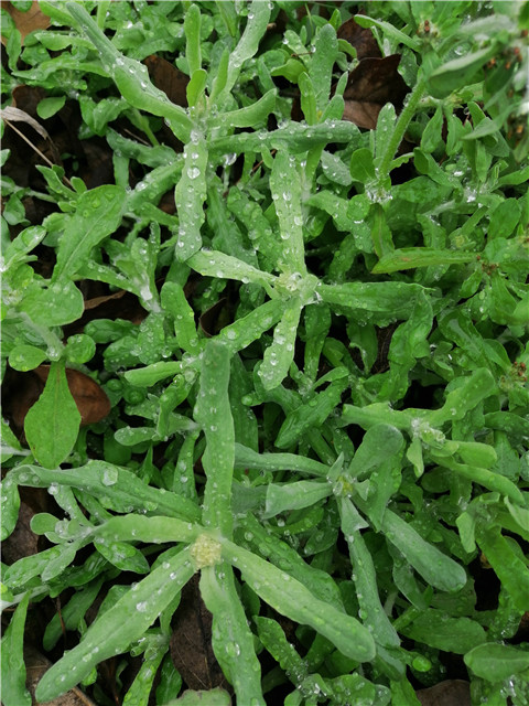 微信图片_20230323224106