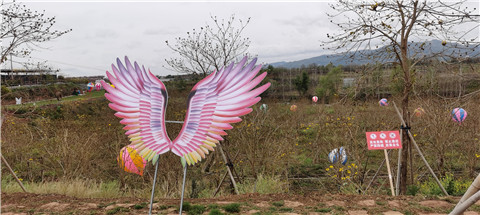 微信图片_20230323224832