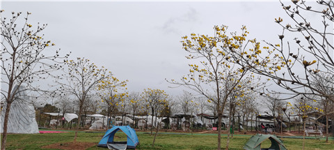 微信图片_20230323224900