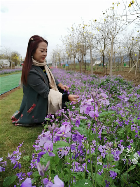 微信图片_20230323224720