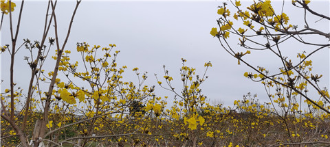 微信图片_20230323224824