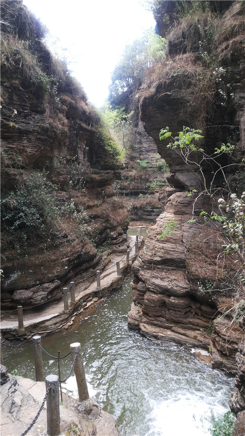 微信图片_20230724232905