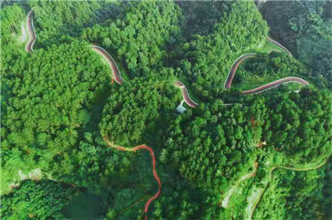 微信图片_20230724232722