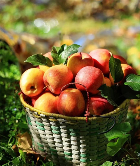 微信图片_20231118204819