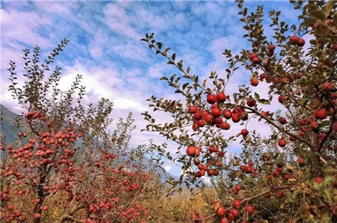 微信图片_20231118204822