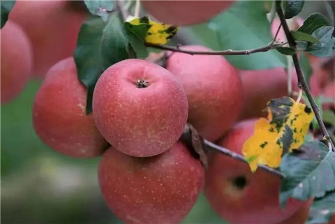 微信图片_20231118204849