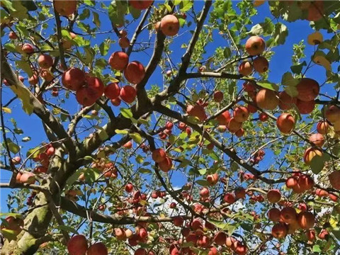 微信图片_20231118204839