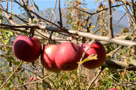 微信图片_20231118204854