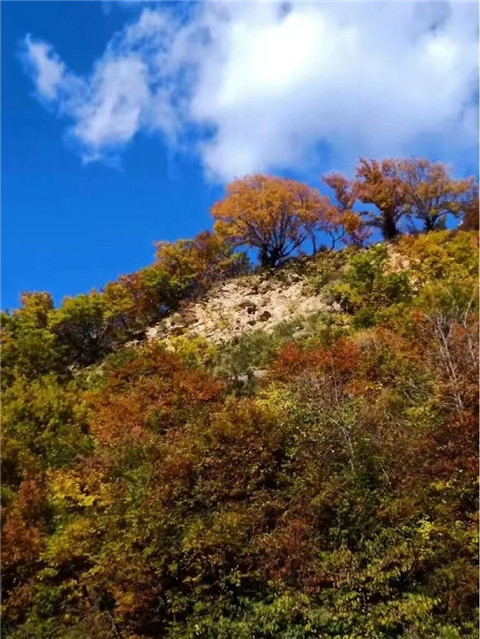 微信图片_20231118204826