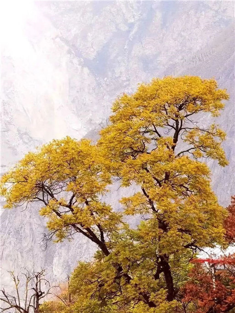 微信图片_20231118204829