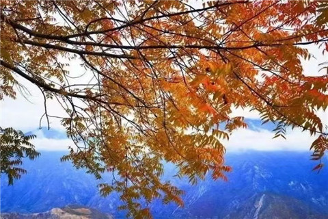 微信图片_20231118204836