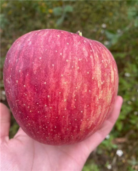 微信图片_20231118204754