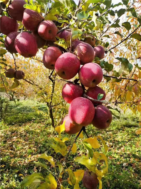 微信图片_20231118204858