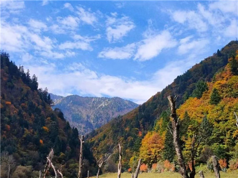 微信图片_20231118204832