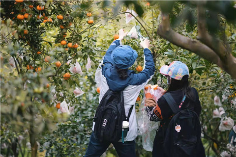 微信图片_20231205210155