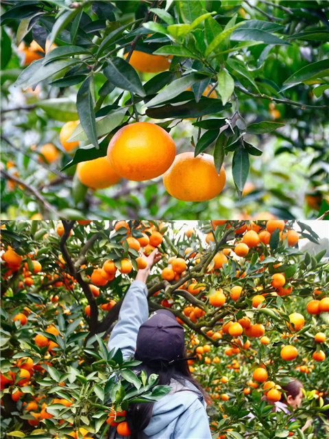 微信图片_20231205210122