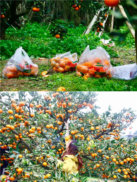 微信图片_20231205210149