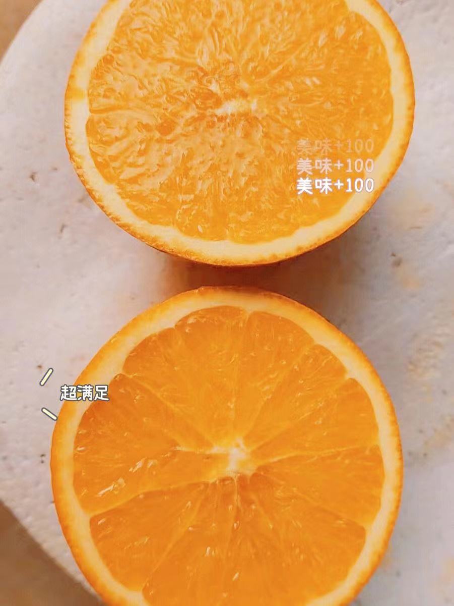 微信图片_20231210222951