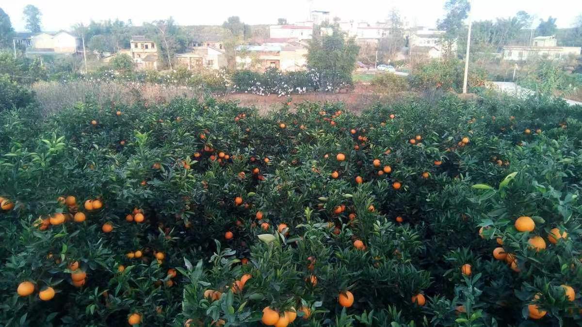 微信图片_20231210222944