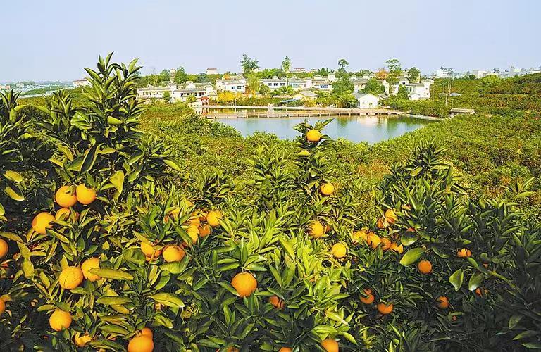 微信图片_20231210222955