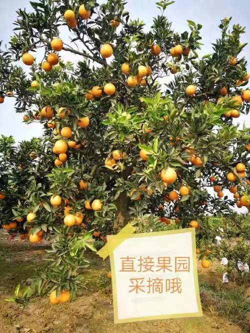 微信图片_20231210222933