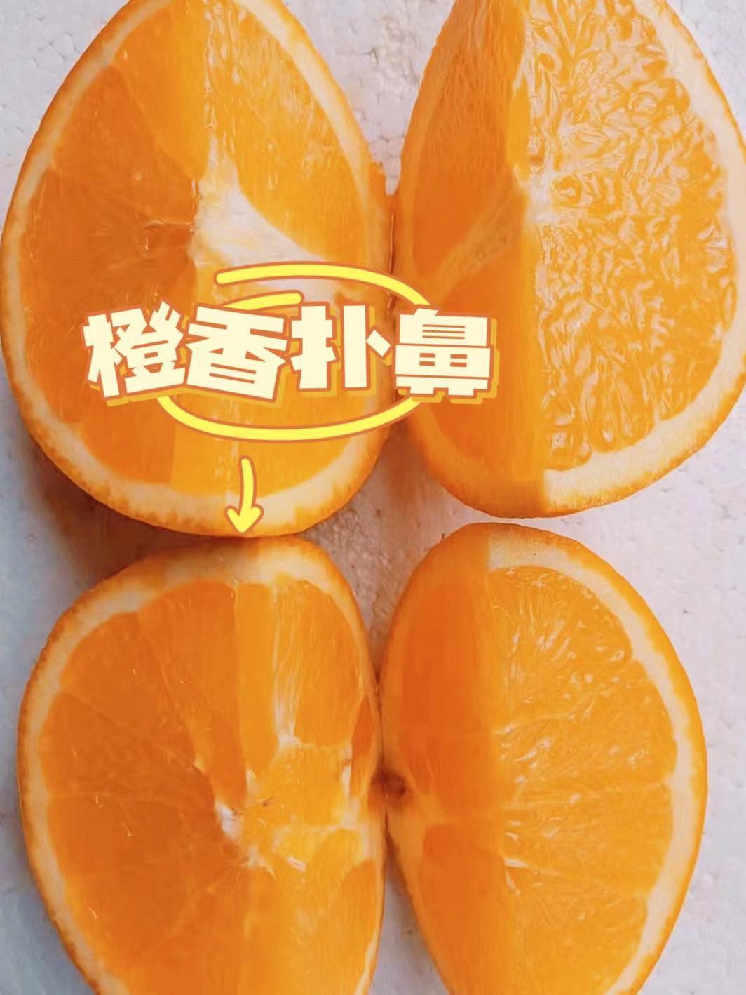 微信图片_20231210223005